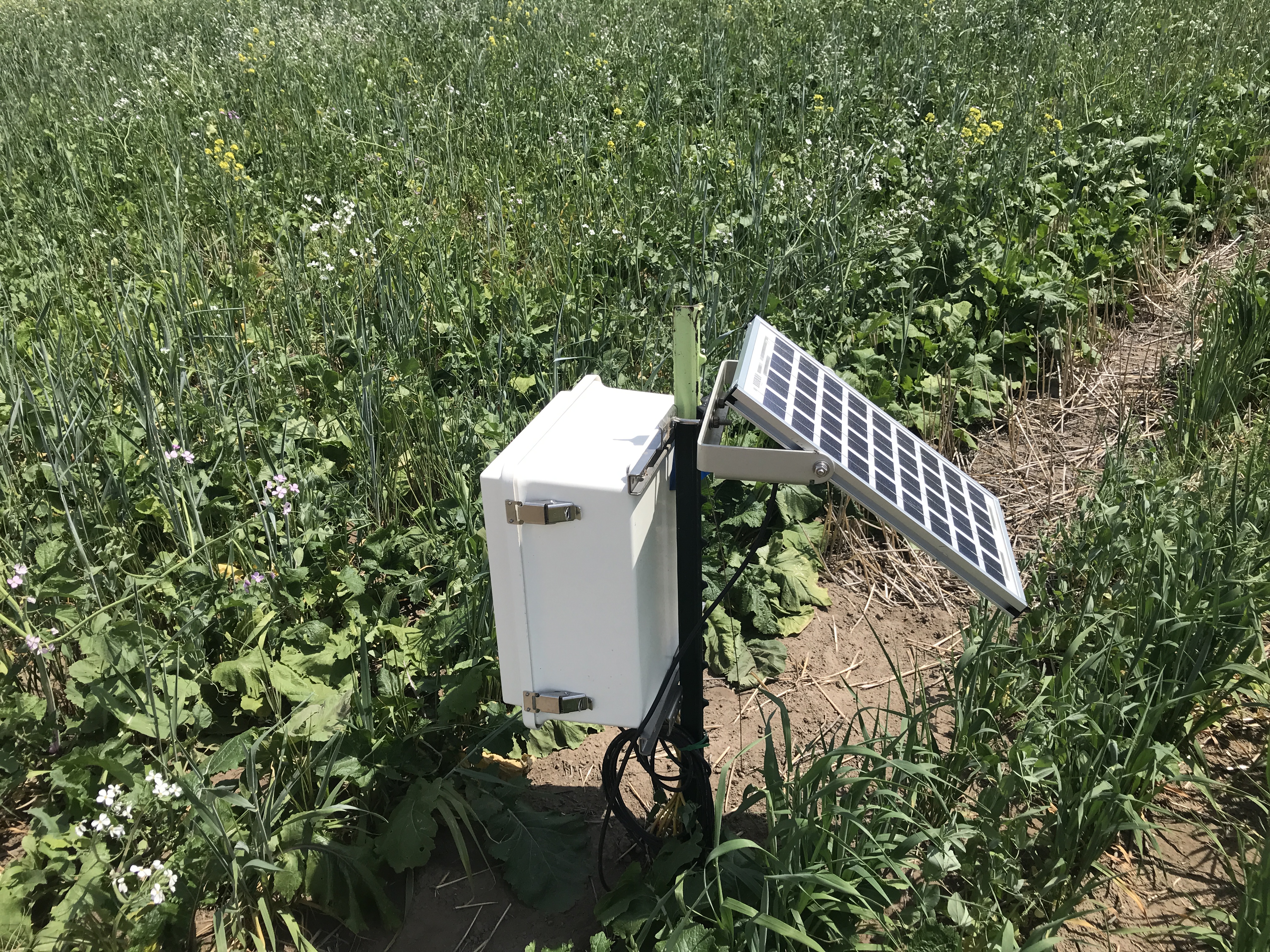 Another Data Logger Box